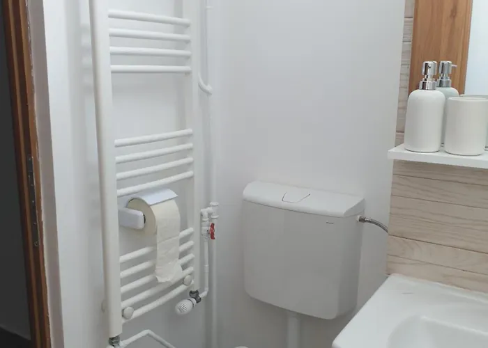 Brancoveanu Avenue Apartament