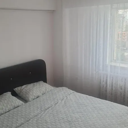 Brancoveanu Avenue Appartement *