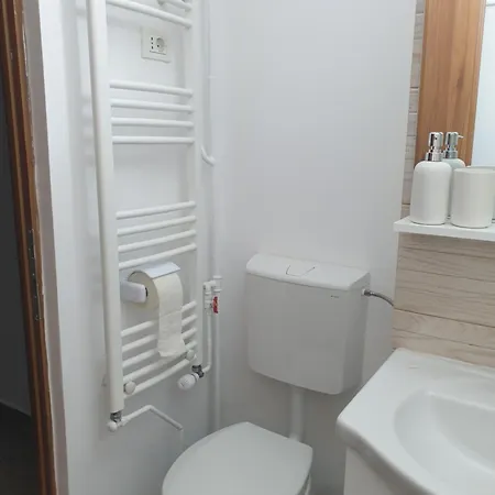 Brancoveanu Avenue Appartement